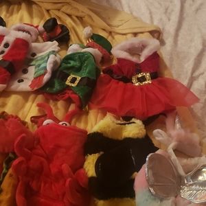**Lot**  14 Guinea Pig Halloween & Christmas Costumes.